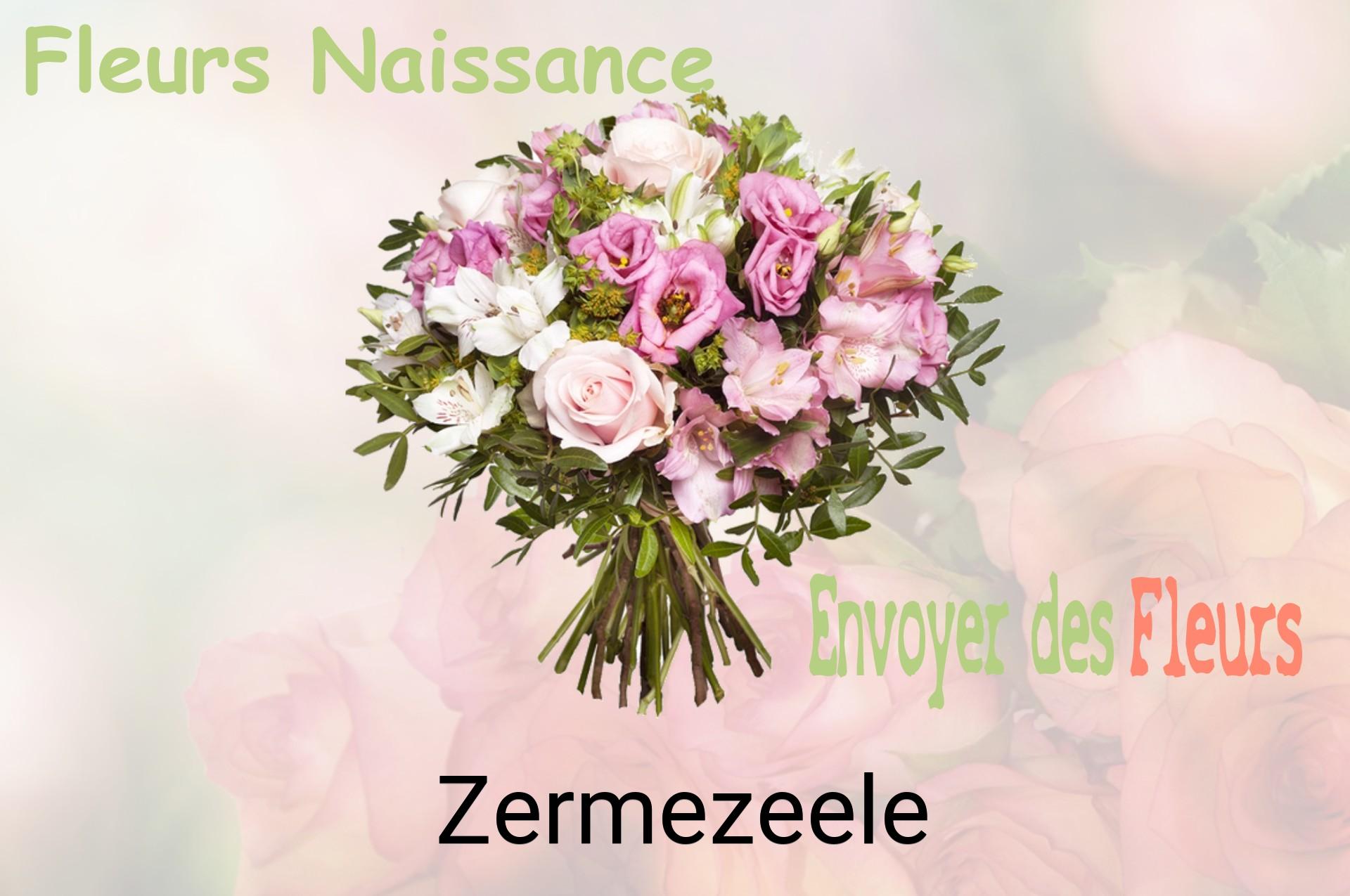 Bouquet de fleurs de naissance livré à Zermezeele
